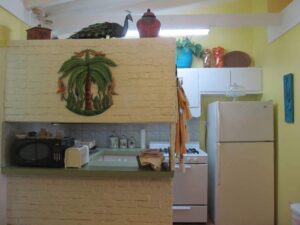 Cariso Suite Kitchen